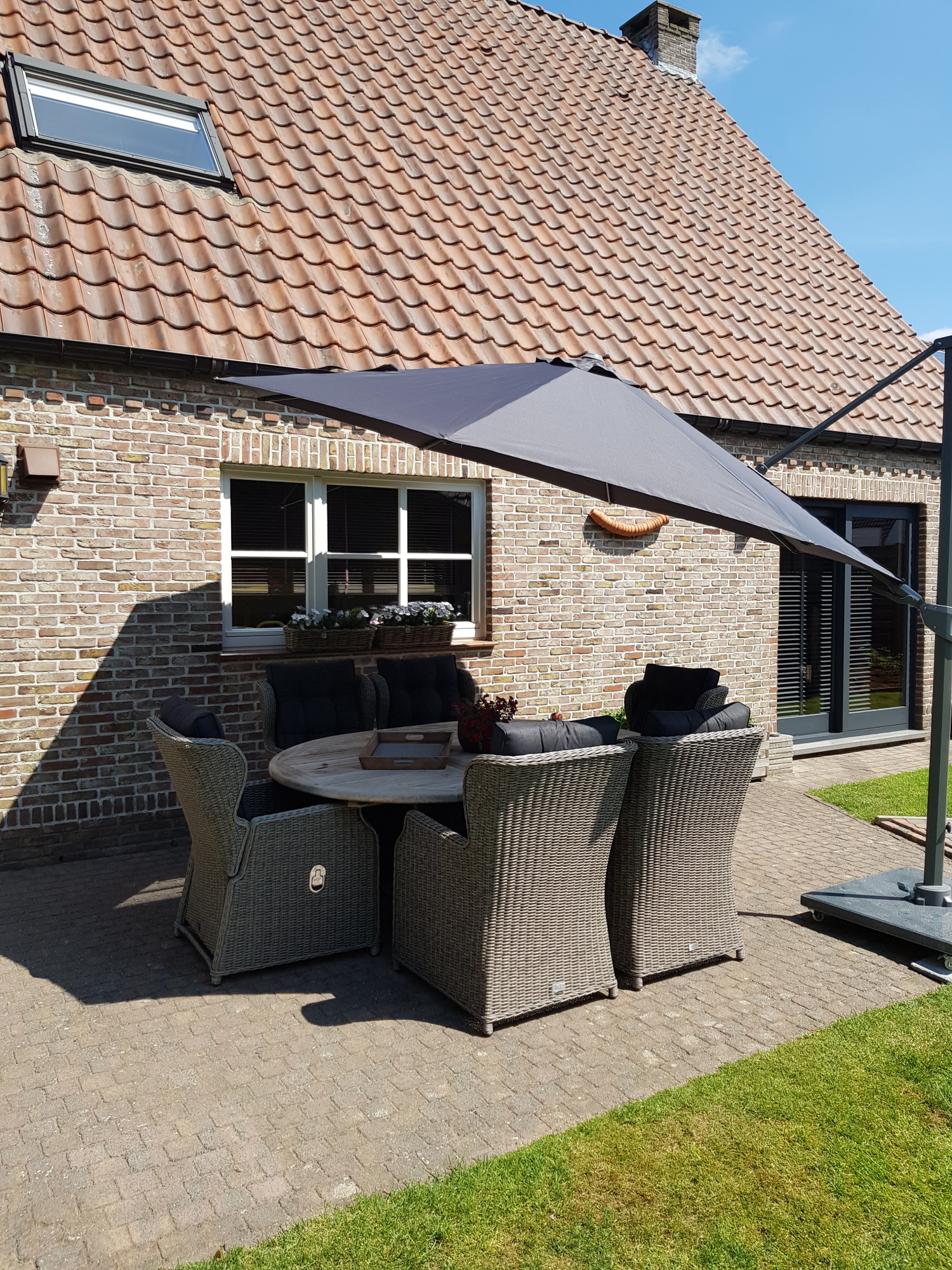 De schoonheid van een vijver in de tuin