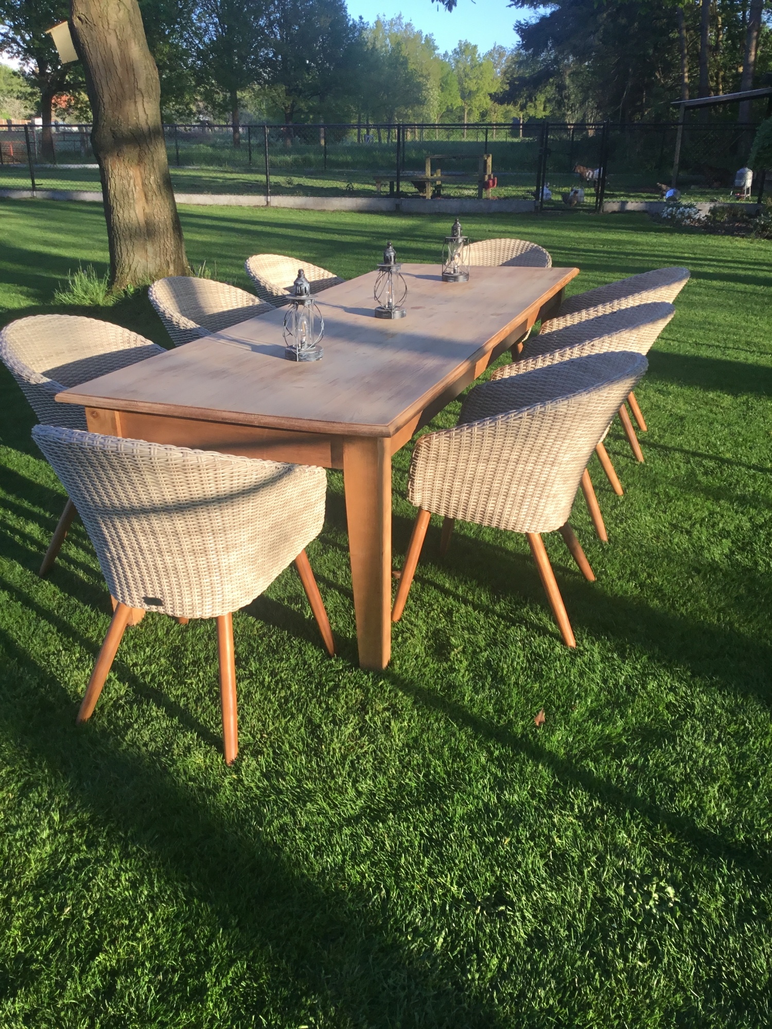 Het stap voor stap realiseren van een echte bloementuin Het stap voor stap realiseren van een echte bloementuin