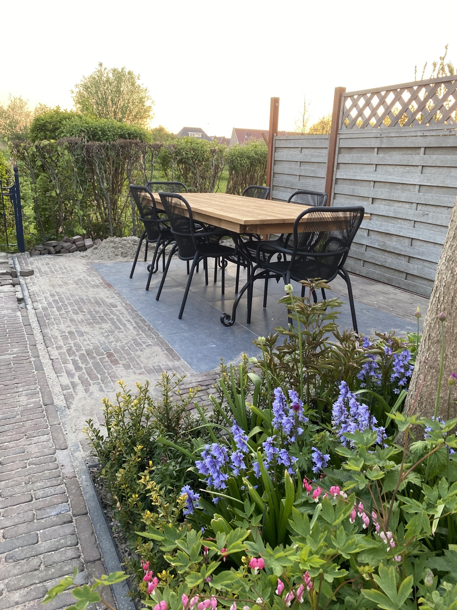 Maak kennis met de wereld van succulenten in de tuin Maak kennis met de wereld van succulenten in de tuin