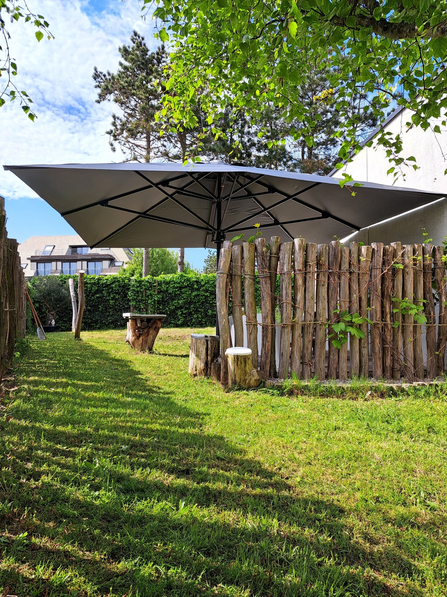 Een moestuin in je eigen achtertuin