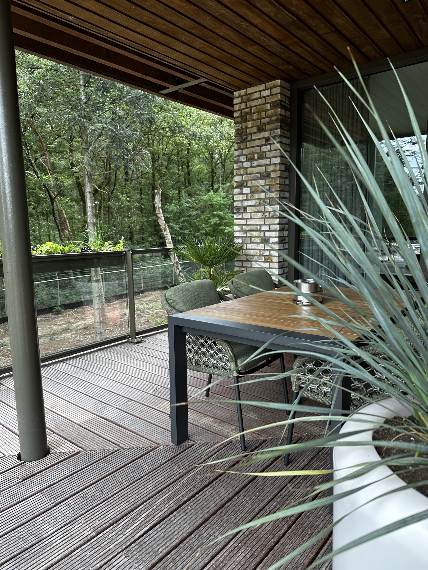 Vraag en antwoord over je tuin