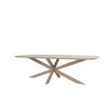 4 Seasons Outdoor Nevada low dining tuintafel 250x105xH69 cm deens ovaal keramiek latte 4 Seasons Outdoor 4 Seasons Outdoor Nevada low dining tuintafel 250x105xH69 cm deens ovaal keramiek latte 4 Seasons Outdoor