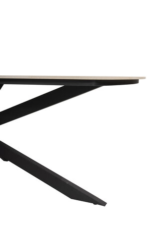 Taste 4SO Prado dining tuintafel 240x105xH75 cm antraciet met keramisch deens ovaal blad Taste 4SO Taste 4SO Prado dining tuintafel 240x105xH75 cm antraciet met keramisch deens ovaal blad Taste 4SO