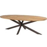 Taste 4SO Prado dining tuintafel ellips 240x115x75 cm teak alu onderstel terre Taste 4SO Taste 4SO Prado dining tuintafel ellips 240x115x75 cm teak alu onderstel terre Taste 4SO