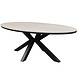 AVH-Collectie Malaga Salvador dining tuinset ovaal stapelbaar 220x115xH75 cm 7 delig polywood AVH-Collectie Malaga Salvador dining tuinset ovaal stapelbaar 220x115xH75 cm 7 delig polywood
