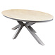 AVH-Collectie Talitha dining tuintafel 220x114xH75 cm ovaal latte sintered stone blad AVH-Collectie Talitha dining tuintafel 220x114xH75 cm ovaal latte sintered stone blad