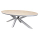 AVH-Collectie Talitha dining tuintafel 220x114xH75 cm ovaal latte sintered stone blad AVH-Collectie Talitha dining tuintafel 220x114xH75 cm ovaal latte sintered stone blad