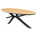 AVH-Collectie Salvador dining tuintafel ovaal 280x100xH75 cm polywood