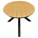AVH-Collectie Salvador dining tuintafel ovaal 280x100xH75 cm polywood