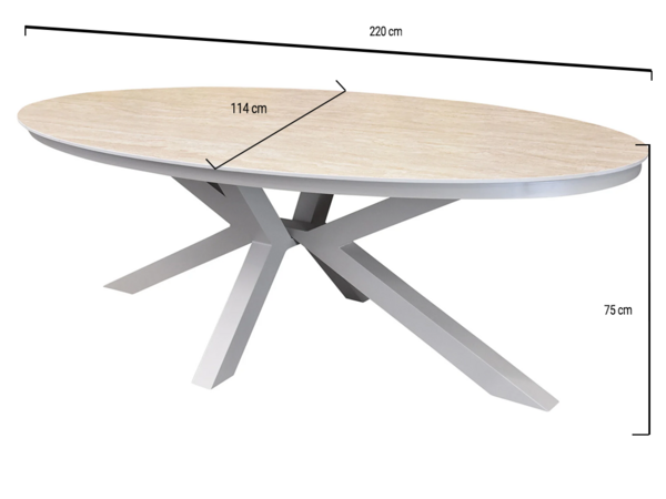AVH-Collectie Talitha dining tuintafel 220x114xH75 cm ovaal latte sintered stone blad AVH-Collectie Talitha dining tuintafel 220x114xH75 cm ovaal latte sintered stone blad