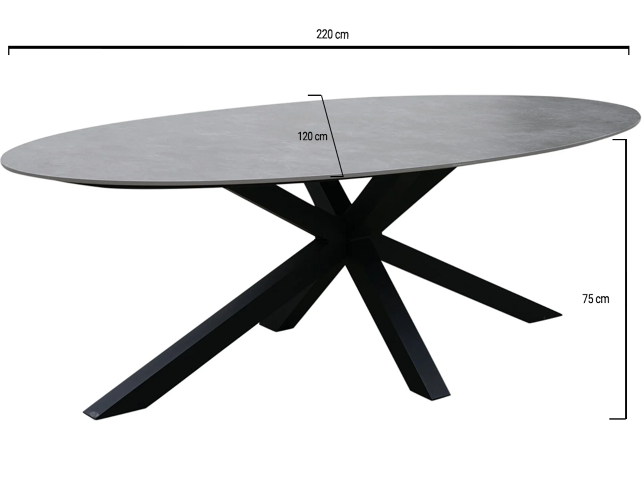 AVH-Collectie Puccini dining tuintafel 220x120 cm ovaal keramisch blad AVH-Collectie Puccini dining tuintafel 220x120 cm ovaal keramisch blad