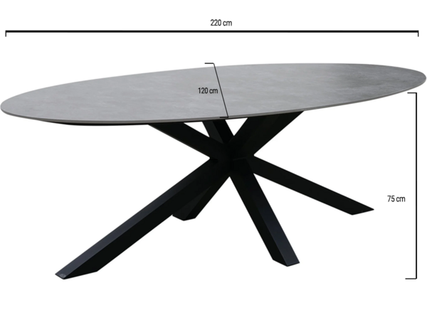 AVH-Collectie Puccini dining tuintafel 220x120 cm ovaal keramisch blad AVH-Collectie Puccini dining tuintafel 220x120 cm ovaal keramisch blad