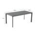 AVH-Collectie Dora dining tuintafel 180x90xH75 cm aluminium AVH-Collectie Dora dining tuintafel 180x90xH75 cm aluminium