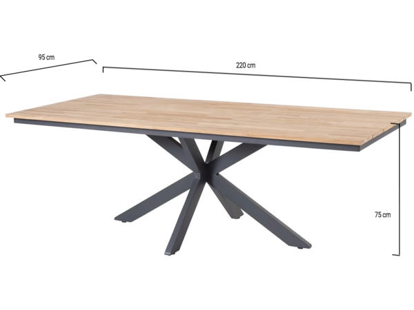 4 Seasons Outdoor Minerva dining tuintafel 220x95xH75 cm teak alu 4 Seasons 4 Seasons Outdoor Minerva dining tuintafel 220x95xH75 cm teak alu 4 Seasons