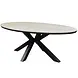 AVH-Collectie Showroommodel Salvador dining tuintafel ovaal 220x115xH75 cm polywood