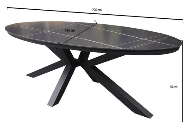 AVH-Collectie Showroommodel Talitha dining tuintafel 220x114xH75 cm ovaal antraciet sintered stone blad