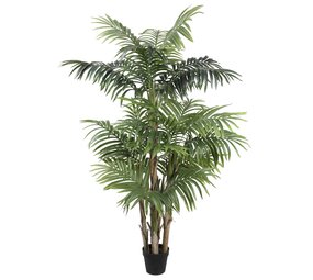 AVH-Collectie Kunstplant paradise acrea palm 190 cm hoog