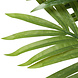 AVH-Collectie Kunstplant paradise acrea palm 190 cm hoog