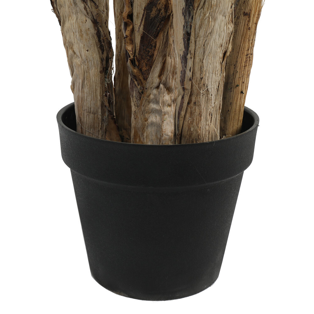 AVH-Collectie Kunstplant paradise acrea palm 190 cm hoog