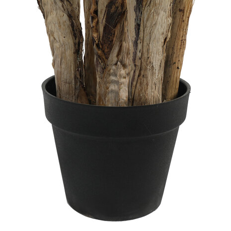 AVH-Collectie Kunstplant paradise acrea palm 190 cm hoog