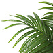 AVH-Collectie Kunstplant paradise acrea palm 190 cm hoog