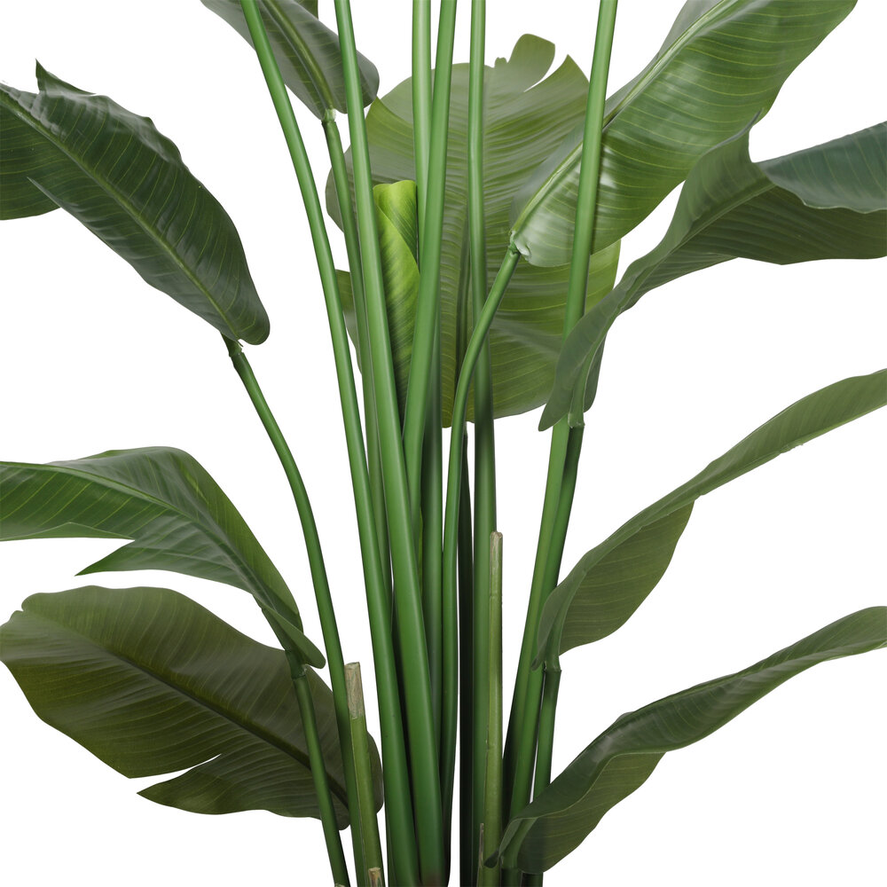 AVH-Collectie Kunstplant bananenboom 180 cm hoog