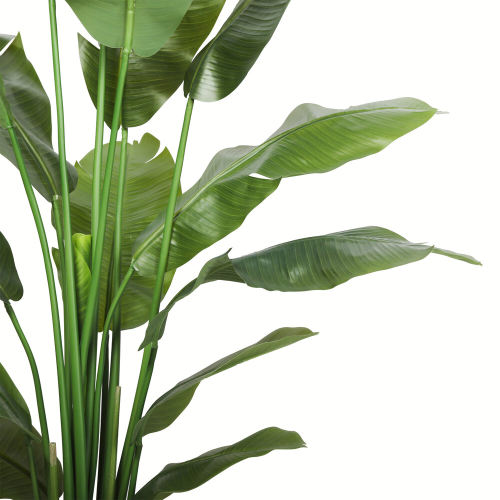 AVH-Collectie Kunstplant bananenboom 180 cm hoog