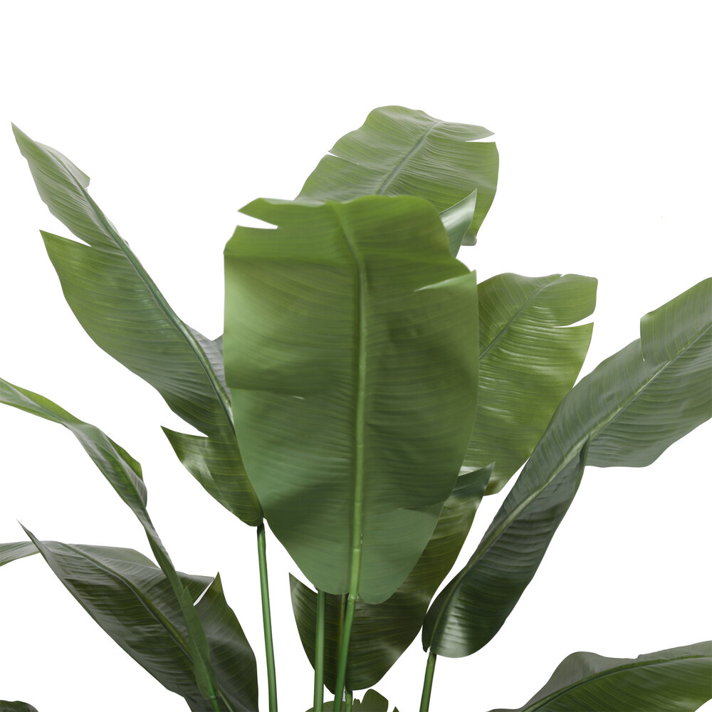 AVH-Collectie Kunstplant bananenboom 180 cm hoog