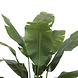 AVH-Collectie Kunstplant bananenboom 180 cm hoog