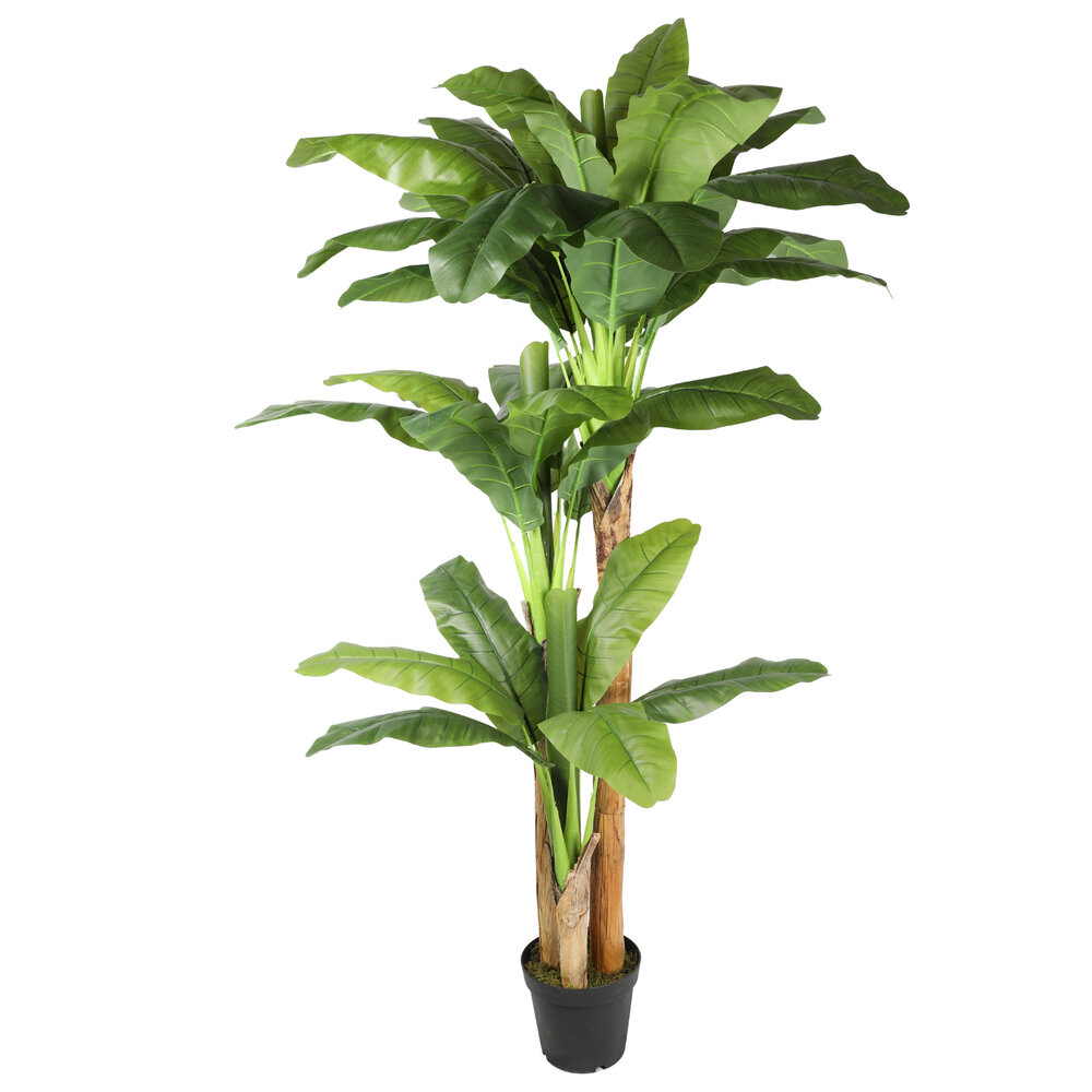 AVH-Collectie Kunstplant bananenboom 220 cm hoog