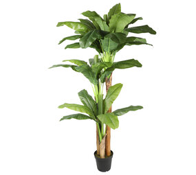 AVH-Collectie Kunstplant bananenboom 220 cm hoog