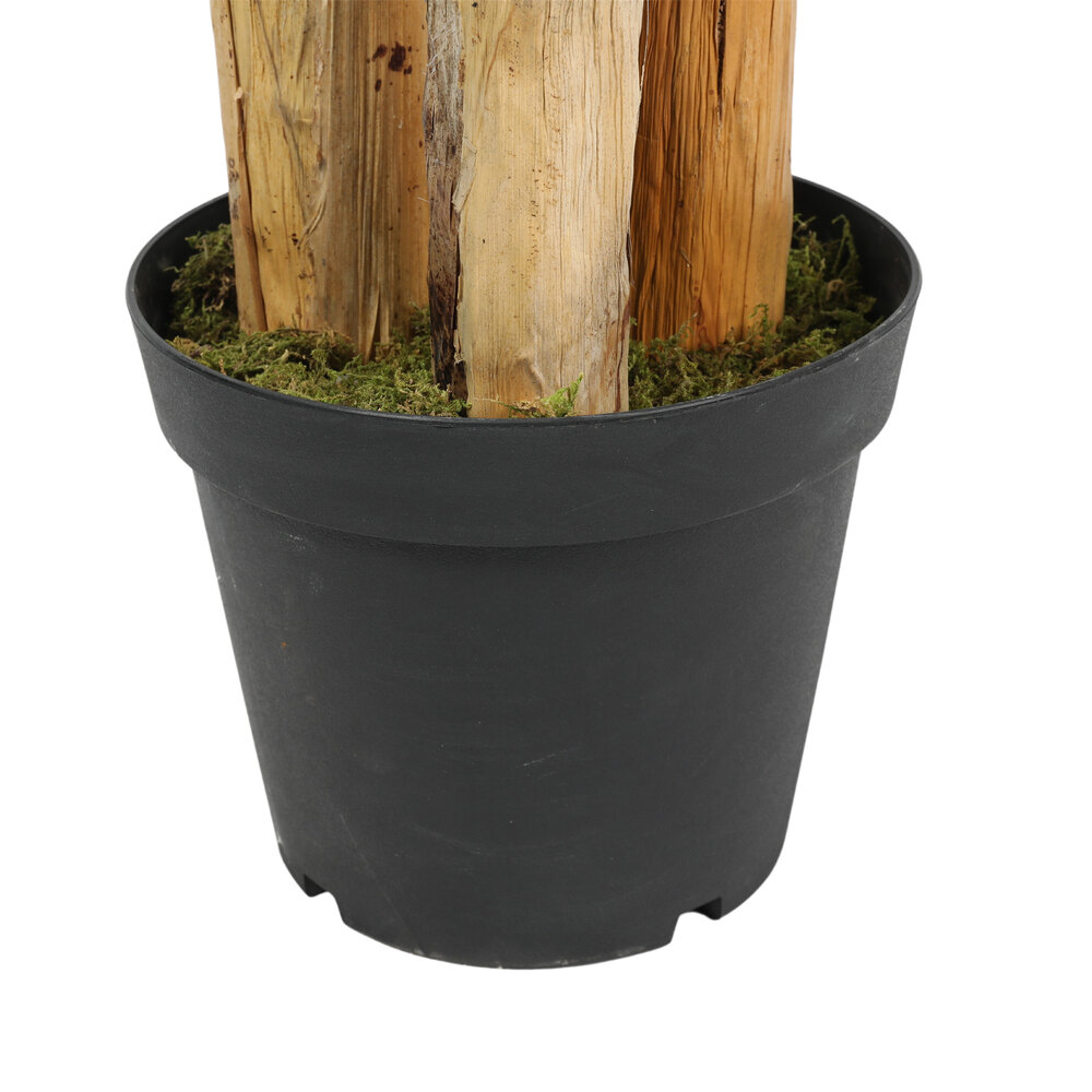 AVH-Collectie Kunstplant bananenboom 220 cm hoog