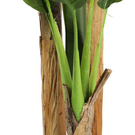 AVH-Collectie Kunstplant bananenboom 220 cm hoog