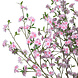 AVH-Collectie Kunstboom kersenbloesem roze 250 cm hoog AVH-Collectie Kunstboom kersenbloesem roze 250 cm hoog