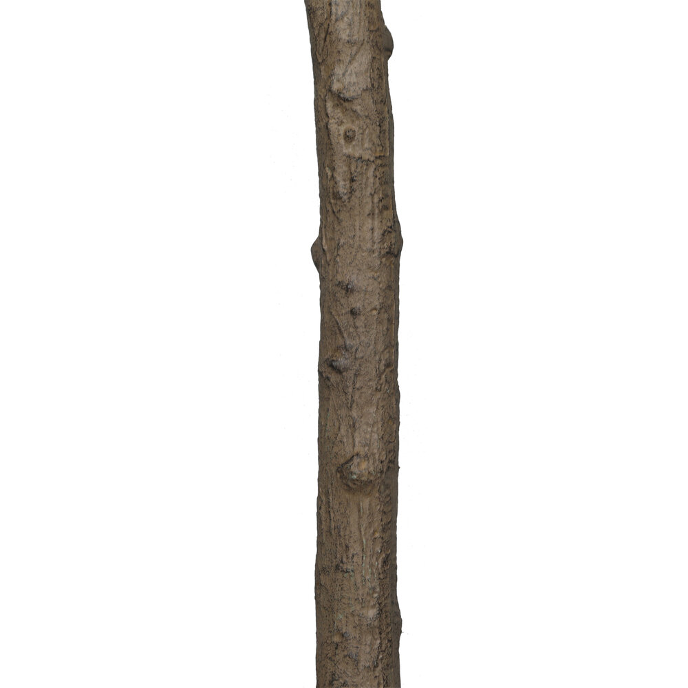 AVH-Collectie Kunstboom kersenbloesem roze 250 cm hoog AVH-Collectie Kunstboom kersenbloesem roze 250 cm hoog