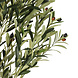 AVH-Collectie Kunst olijfboom 180 cm hoog