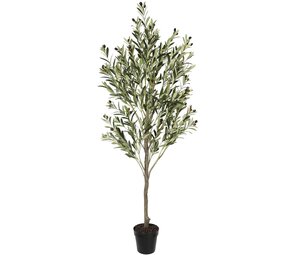 AVH-Collectie Kunst olijfboom 180 cm hoog
