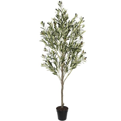 AVH-Collectie Kunst olijfboom 180 cm hoog