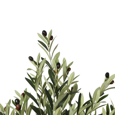 AVH-Collectie Kunst olijfboom 180 cm hoog