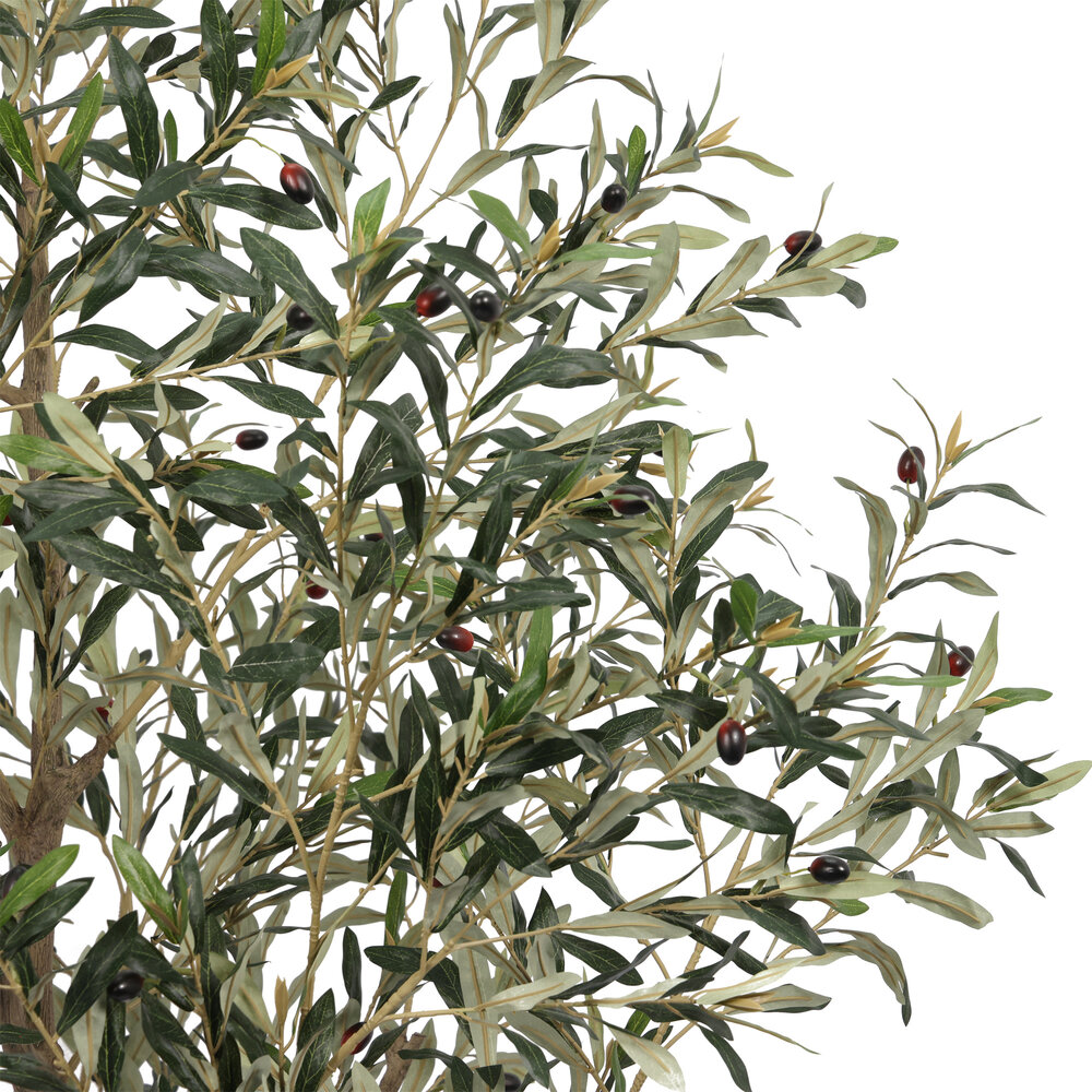 AVH-Collectie Kunst olijfboom robuust meerstammig hoogte 210 cm