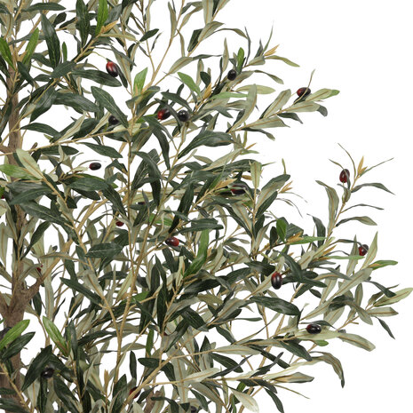 AVH-Collectie Kunst olijfboom robuust meerstammig hoogte 210 cm