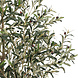 AVH-Collectie Kunst olijfboom robuust meerstammig hoogte 210 cm