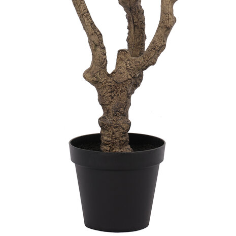 AVH-Collectie Kunst olijfboom robuust meerstammig hoogte 210 cm