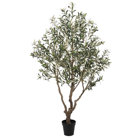 AVH-Collectie Kunst olijfboom robuust meerstammig hoogte 210 cm