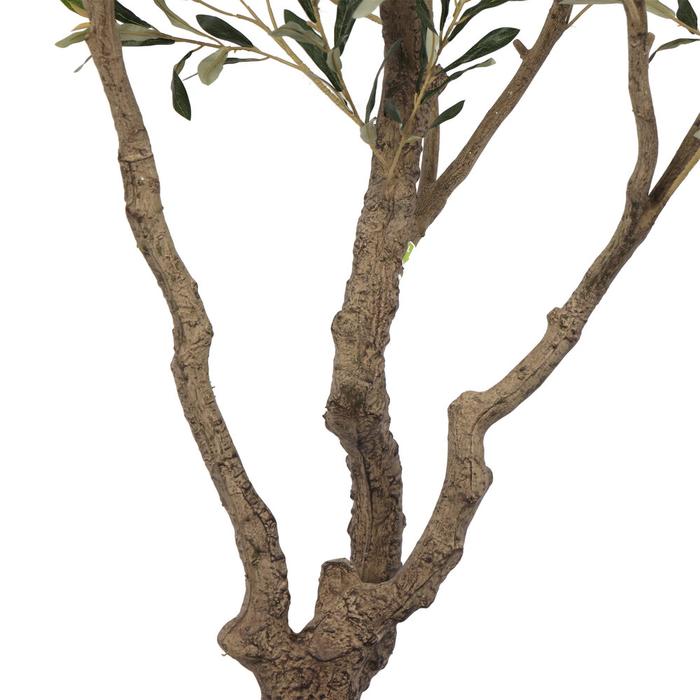 AVH-Collectie Kunst olijfboom robuust meerstammig hoogte 210 cm