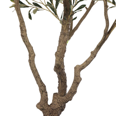 AVH-Collectie Kunst olijfboom robuust meerstammig hoogte 210 cm