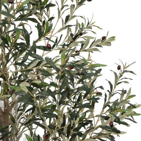 AVH-Collectie Kunst olijfboom robuust meerstammig hoogte 210 cm