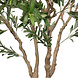 AVH-Collectie Kunst olijfboom robuust met pot H240 cm