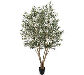 AVH-Collectie Kunst olijfboom robuust H250 cm