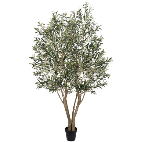 AVH-Collectie Kunst olijfboom robuust H250 cm